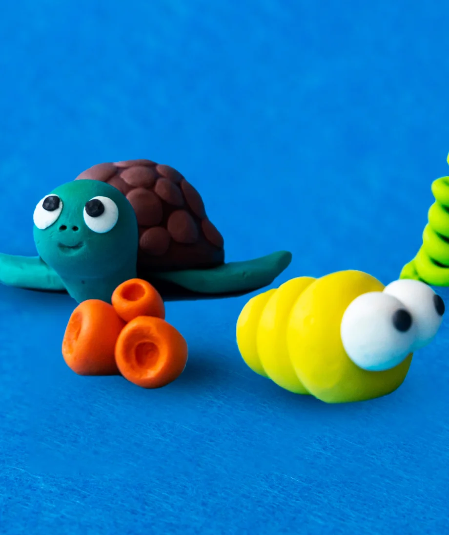 Turtle 2c