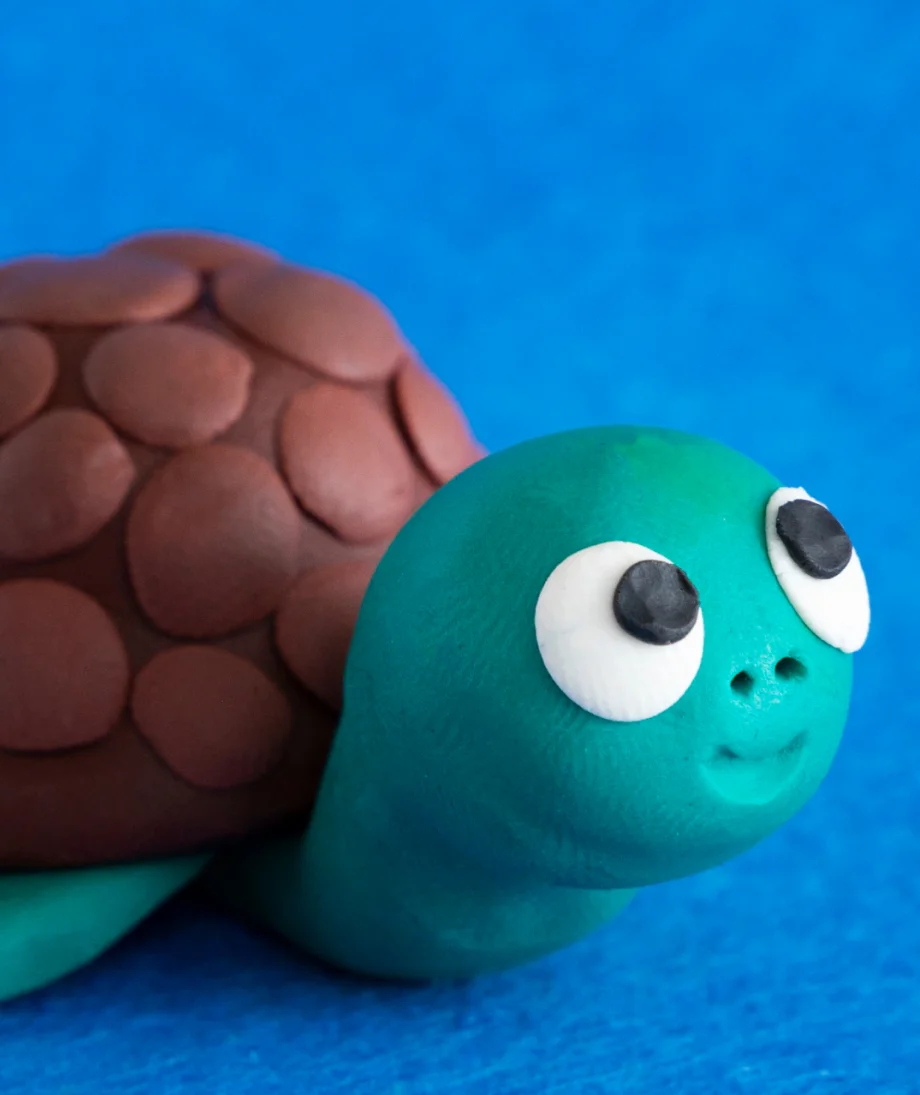 Turtle 2d